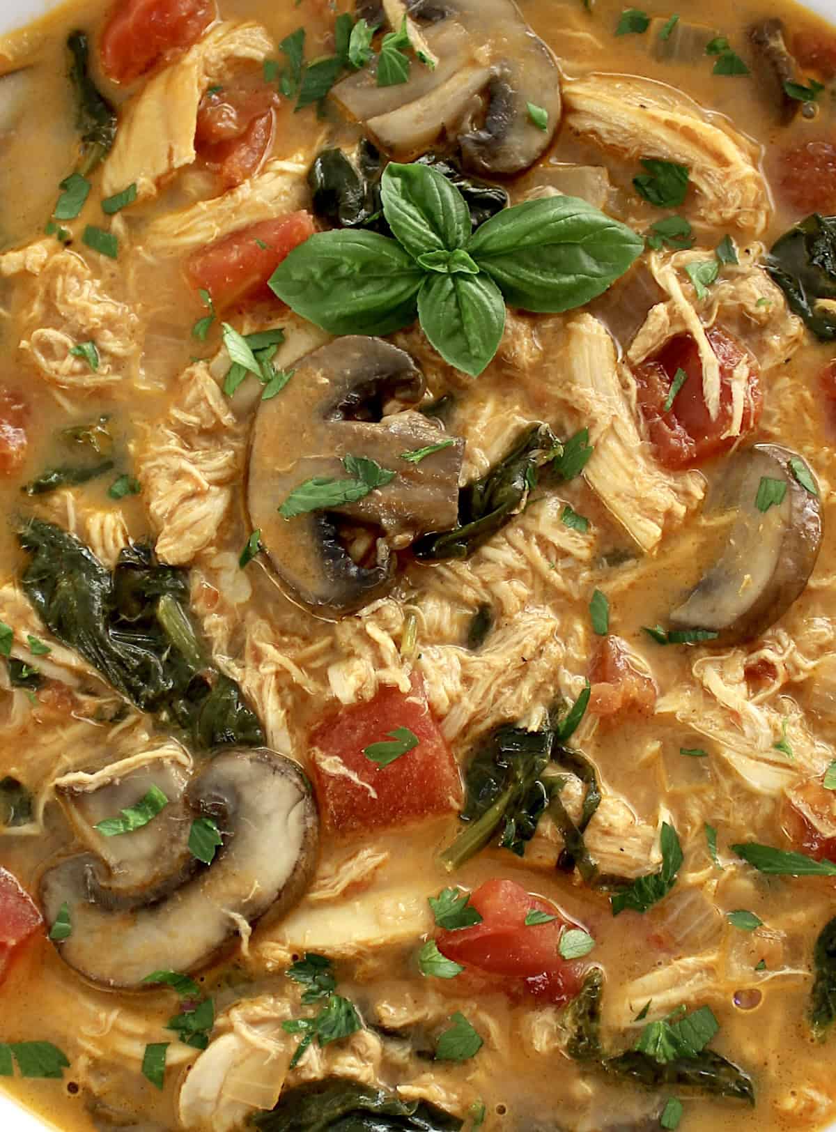 closeup of Tuscan Chicken Soup with fresh basil leaves on top