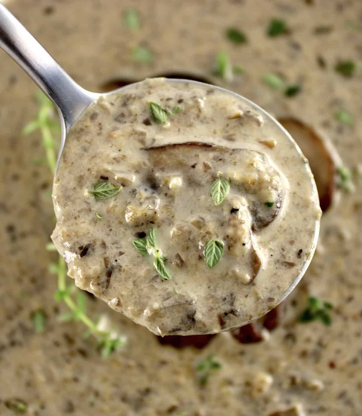 closeup of spoonful of Cream of Wild Mushroom Soup