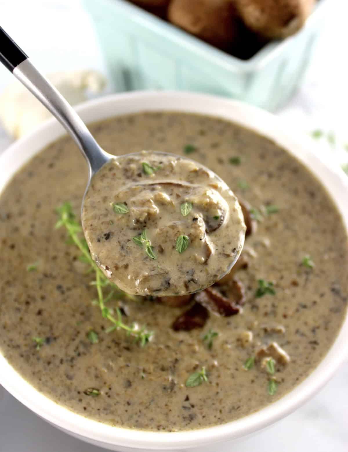 closeup of spoonful of Cream of Wild Mushroom Soup