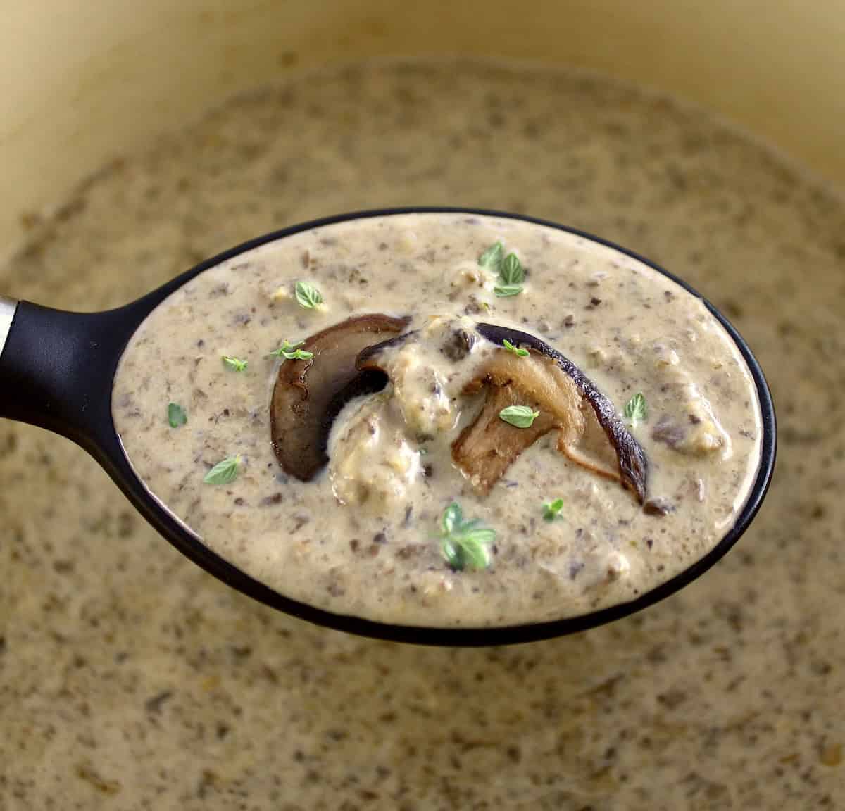 spoon full of Cream of Wild Mushroom Soup held up over dutch oven