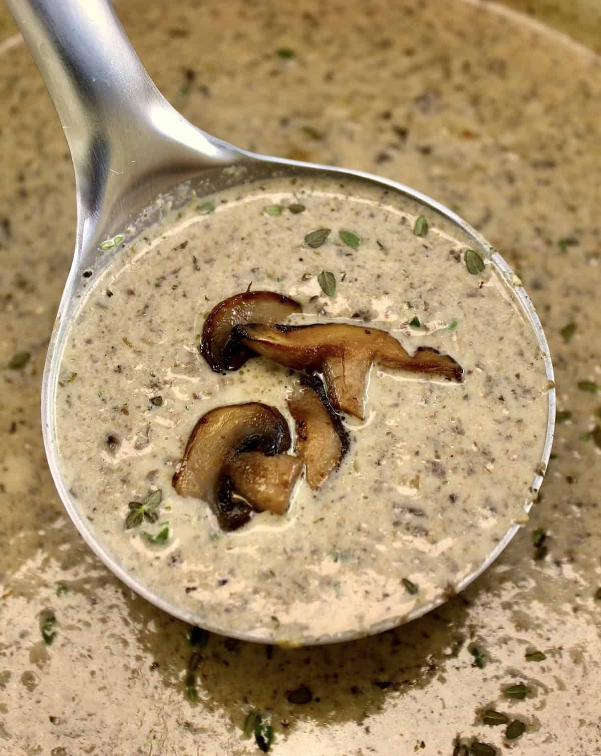 ladle of Cream of Wild Mushroom Soup with 3 mushrooms on top