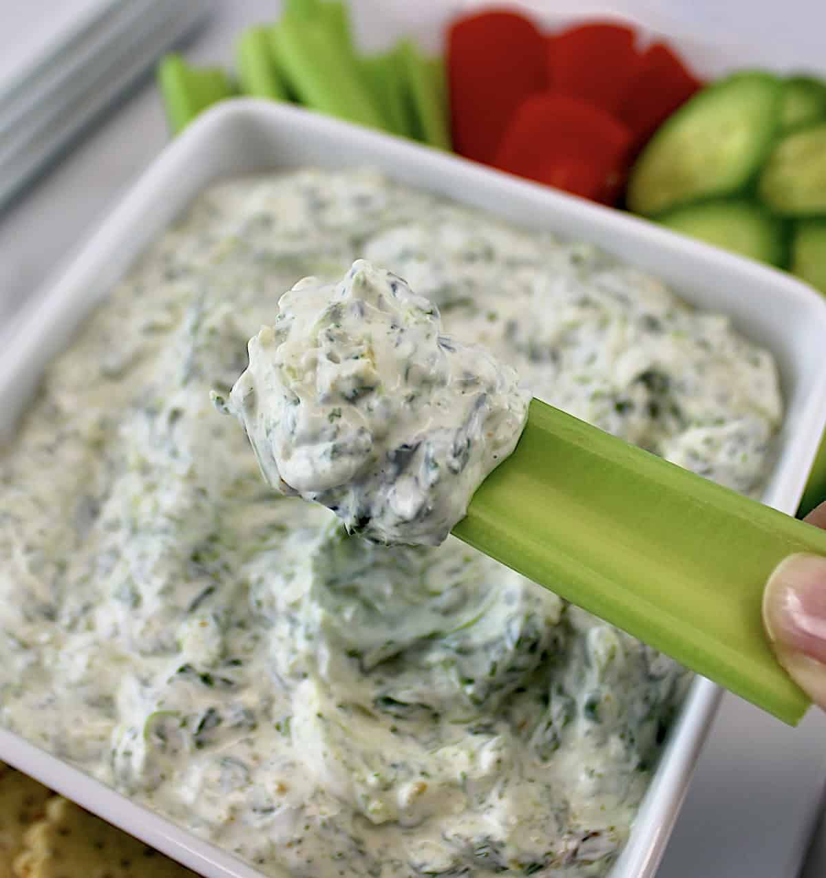 holding up celery dipped in Spinach Dip