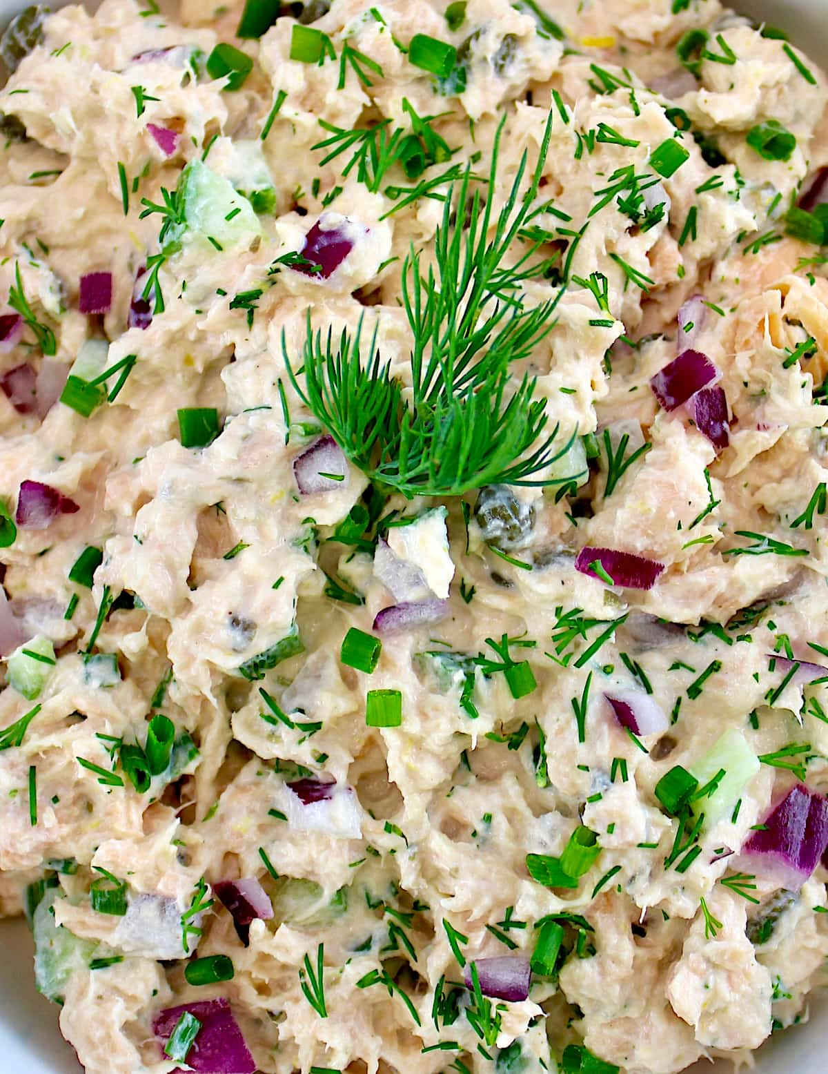 closeup of Creamy Dill Salmon Salad with fresh dill sprig on top