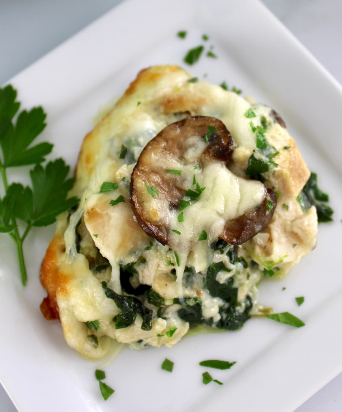 closeup of serving of Chicken Alfredo Casserole on white square plate with parsley garnish