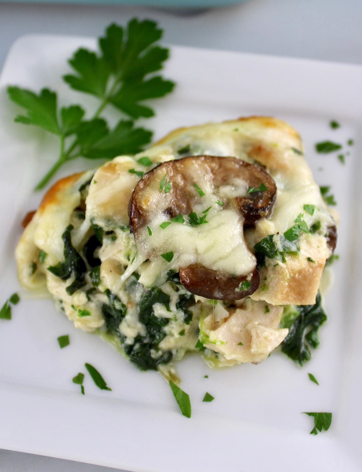 closeup of serving of Chicken Alfredo Casserole on white square plate with parsley garnish