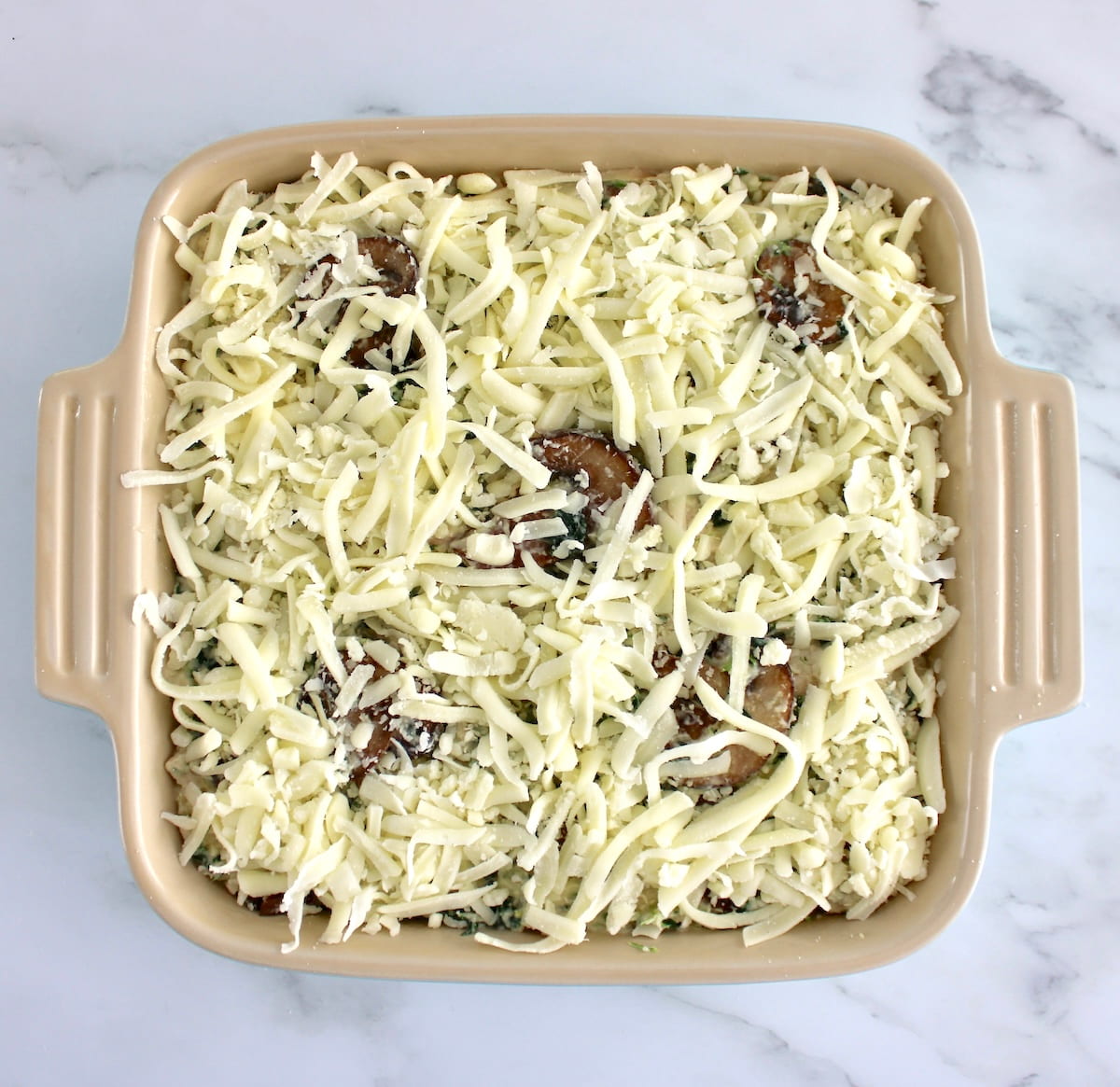 Chicken Alfredo Casserole in casserole baking dish unbaked with shredded mozzarella cheese on top