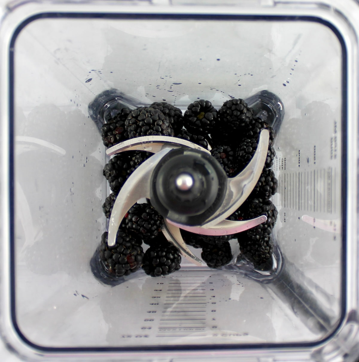 blackberries in food processor 