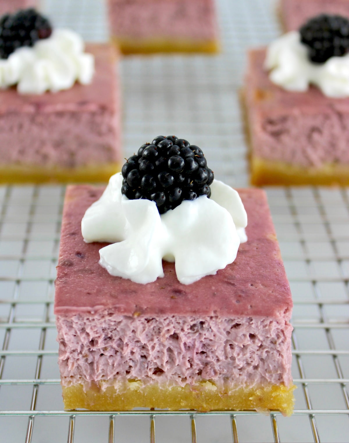 closeup of Blackberry Cheesecake Bars on cooling rack with whip cream and blackberry on top