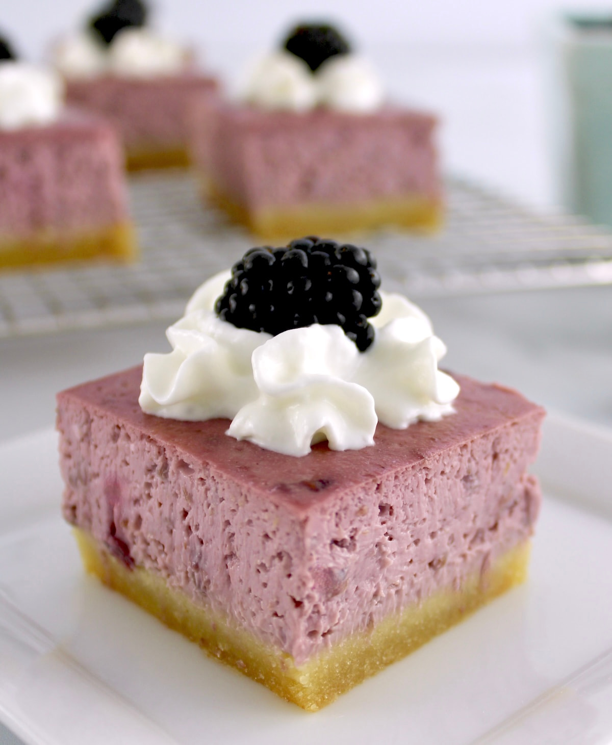 closeup of Blackberry Cheesecake Bar on white plate with whip cream and blackberry, with more bars in back