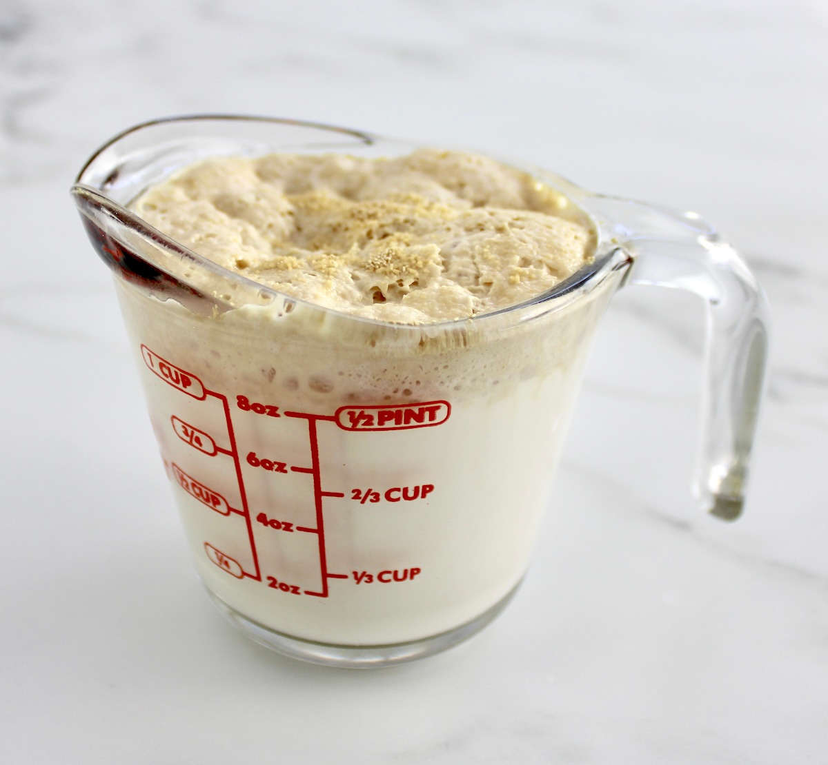 milk in glass mixing cup with bloomed yeast on top