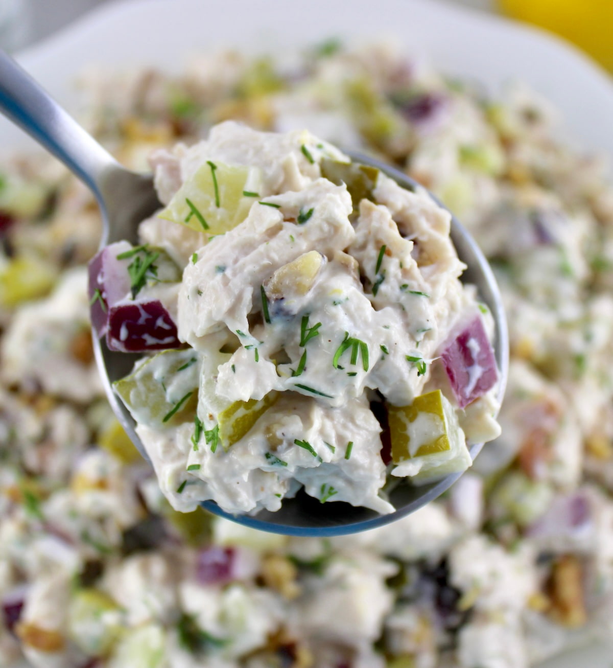 spoonful of Dill Pickle Chicken Salad held up over bowl