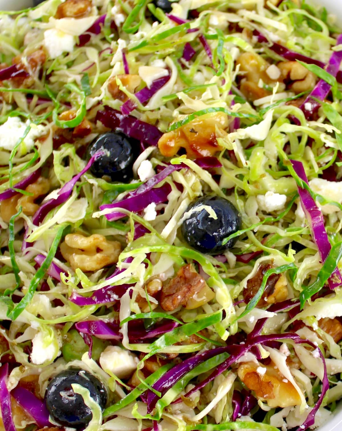 closeup of Shaved Brussels Sprouts Salad