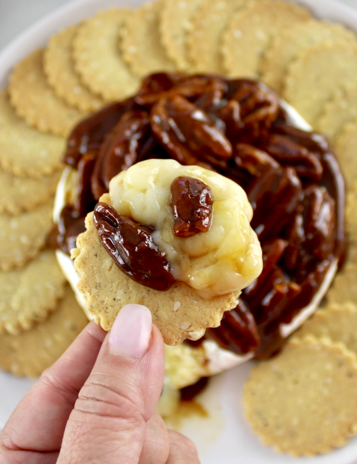 holding up Maple Pecan Baked Brie on cracker