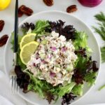 Cottage Cheese Chicken Salad over mixed greens on plate with fork on side