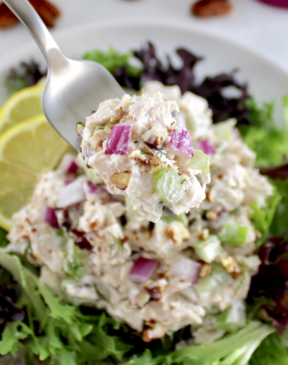 fork holding up Cottage Cheese Chicken Salad over salad