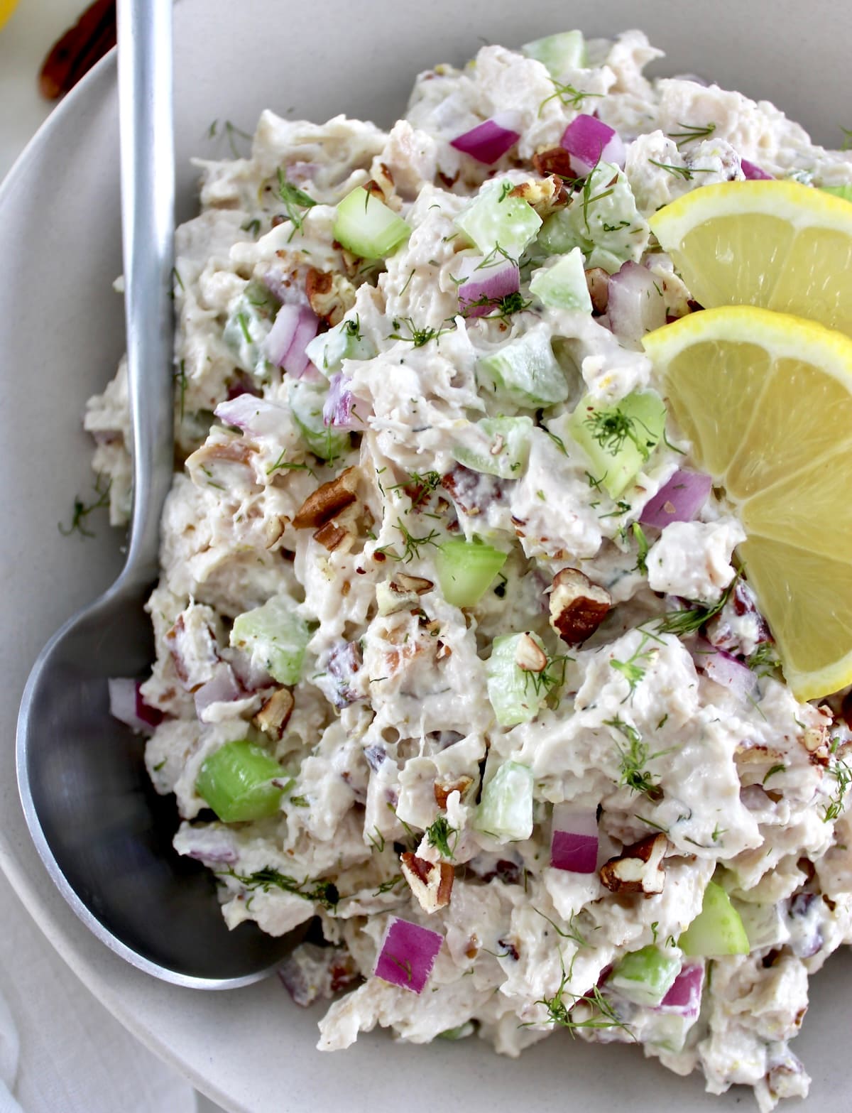 closeup of Cottage Cheese Chicken Salad in bowl with spoon on side