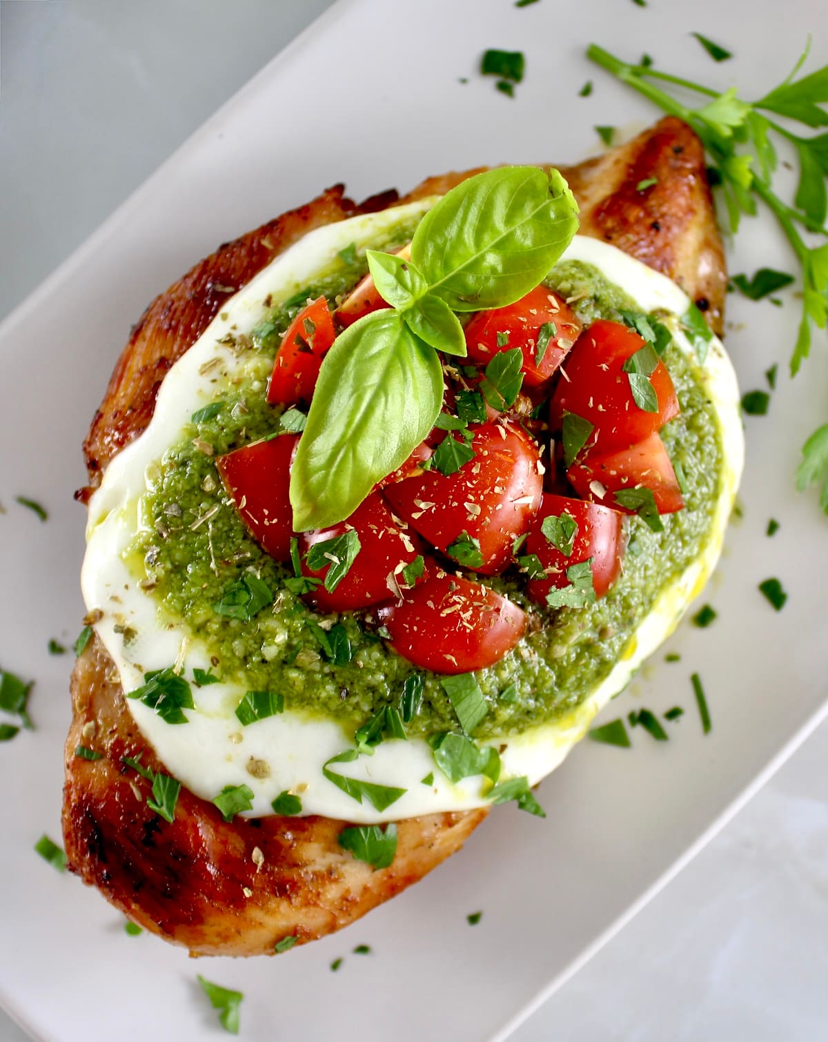 overhead view of Grilled Chicken Margherita on white plate with fresh basil on top