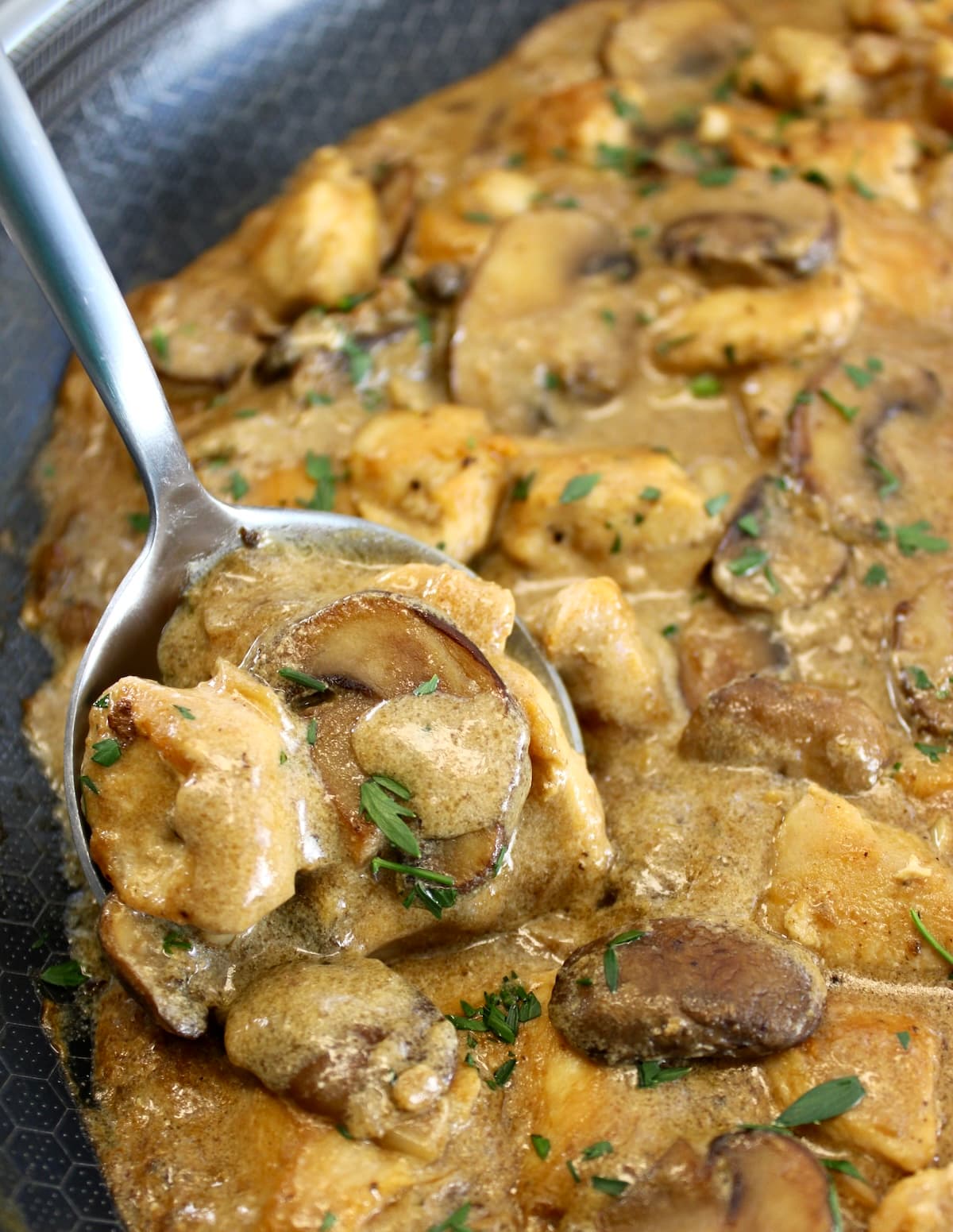 closeup of Chicken Stroganoff in skillet with spoon