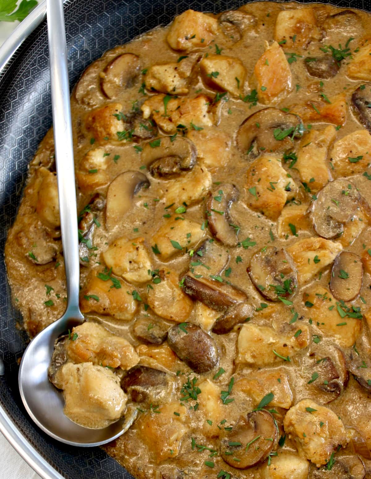 closeup of Chicken Stroganoff in skillet with spoon
