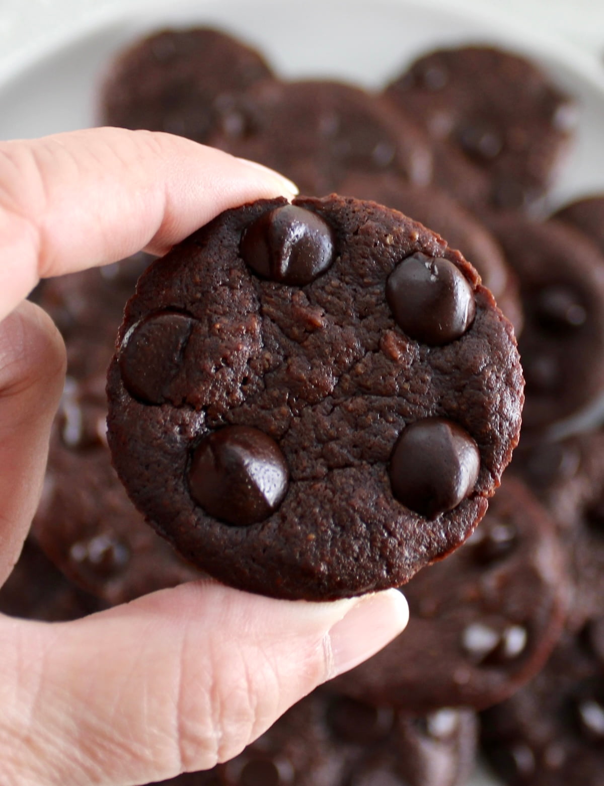 holding up Chocolate Coconut Brownie Bite