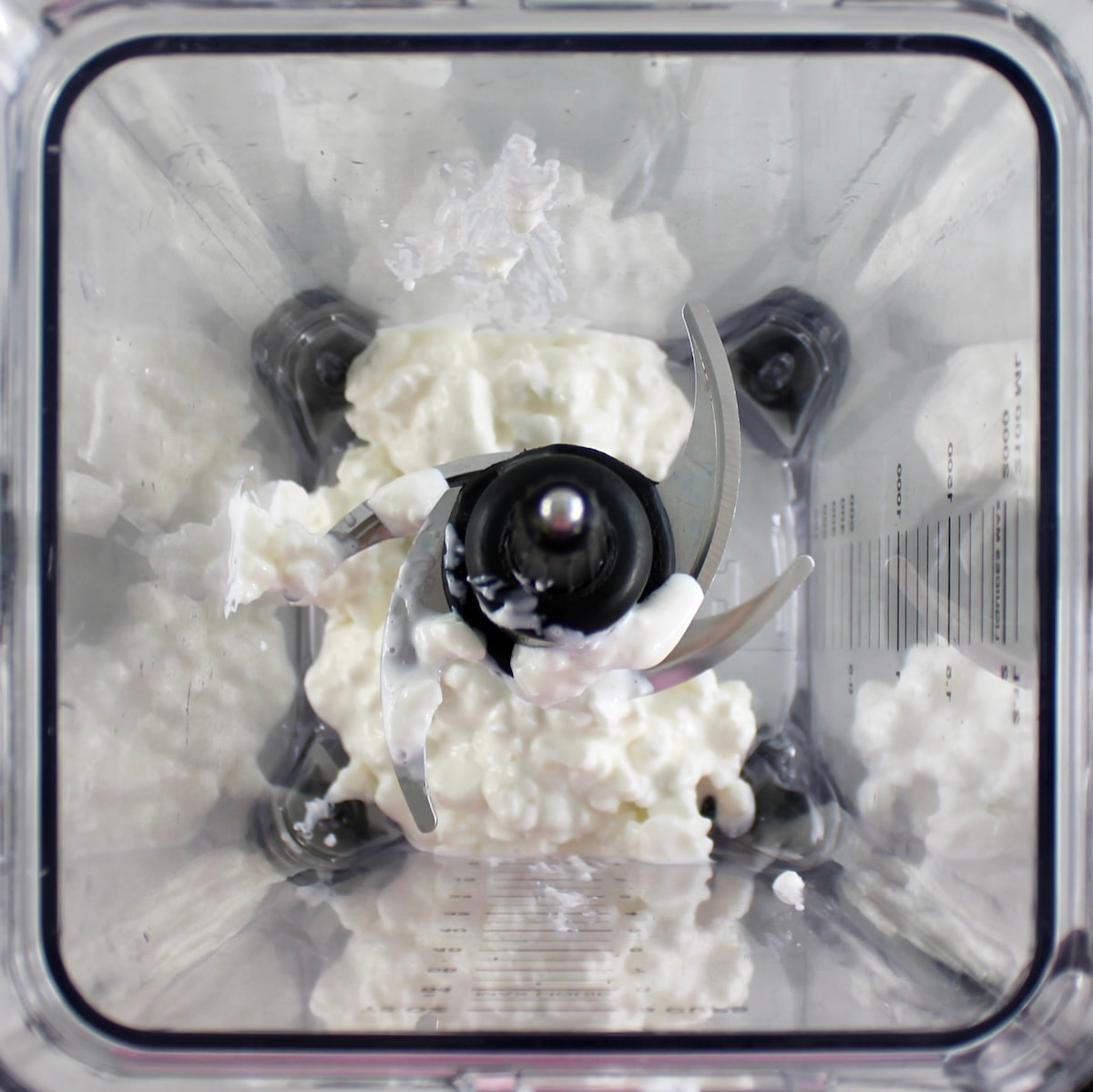 cottage cheese and Greek yogurt in blender