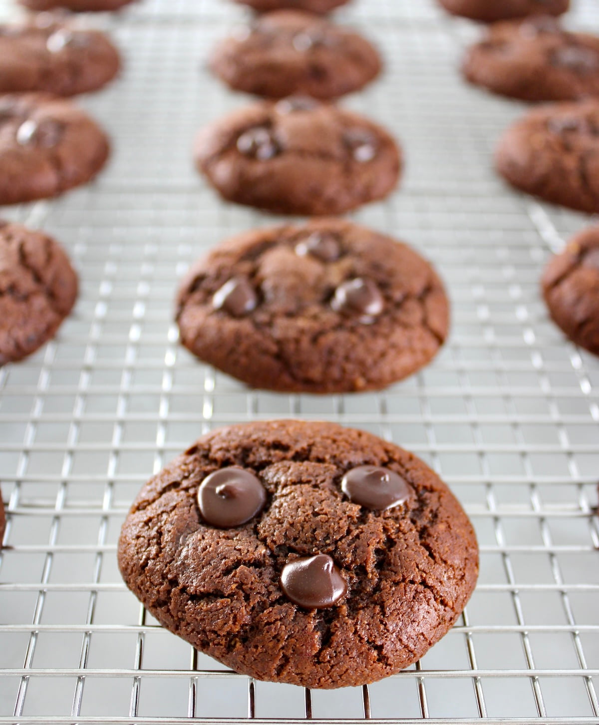 Keto Chocolate Almond Butter Cookies on cooling rack