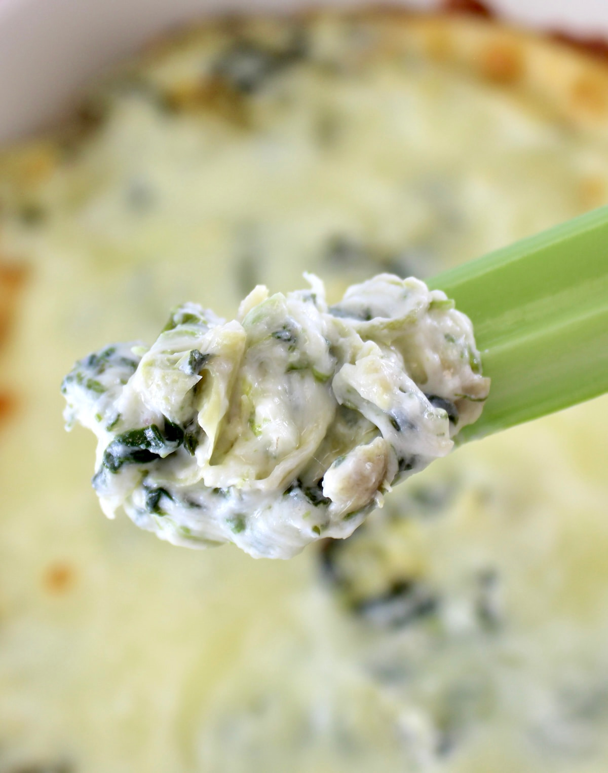closeup of Spinach Artichoke Dip on the end of celery stick
